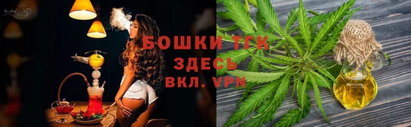 индика Алексеевка
