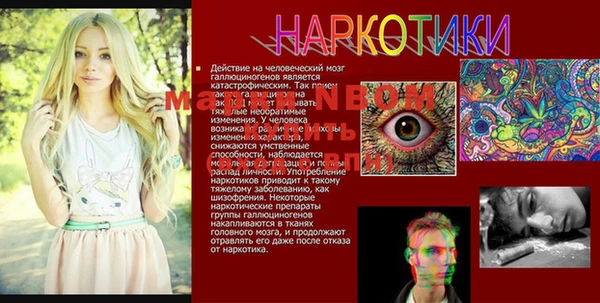 индика Алексеевка