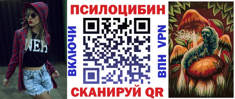даркнет как зайти  сколько стоит  Курлово  Галлюциногенные грибы Cubensis 